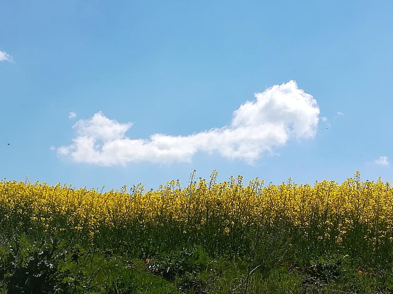 Agriturismo Il Riccio Monticchio  Exteriér fotografie