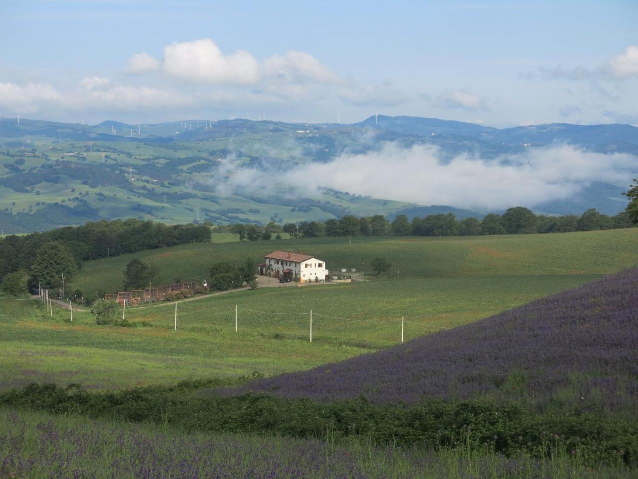 Agriturismo Il Riccio Monticchio  Exteriér fotografie
