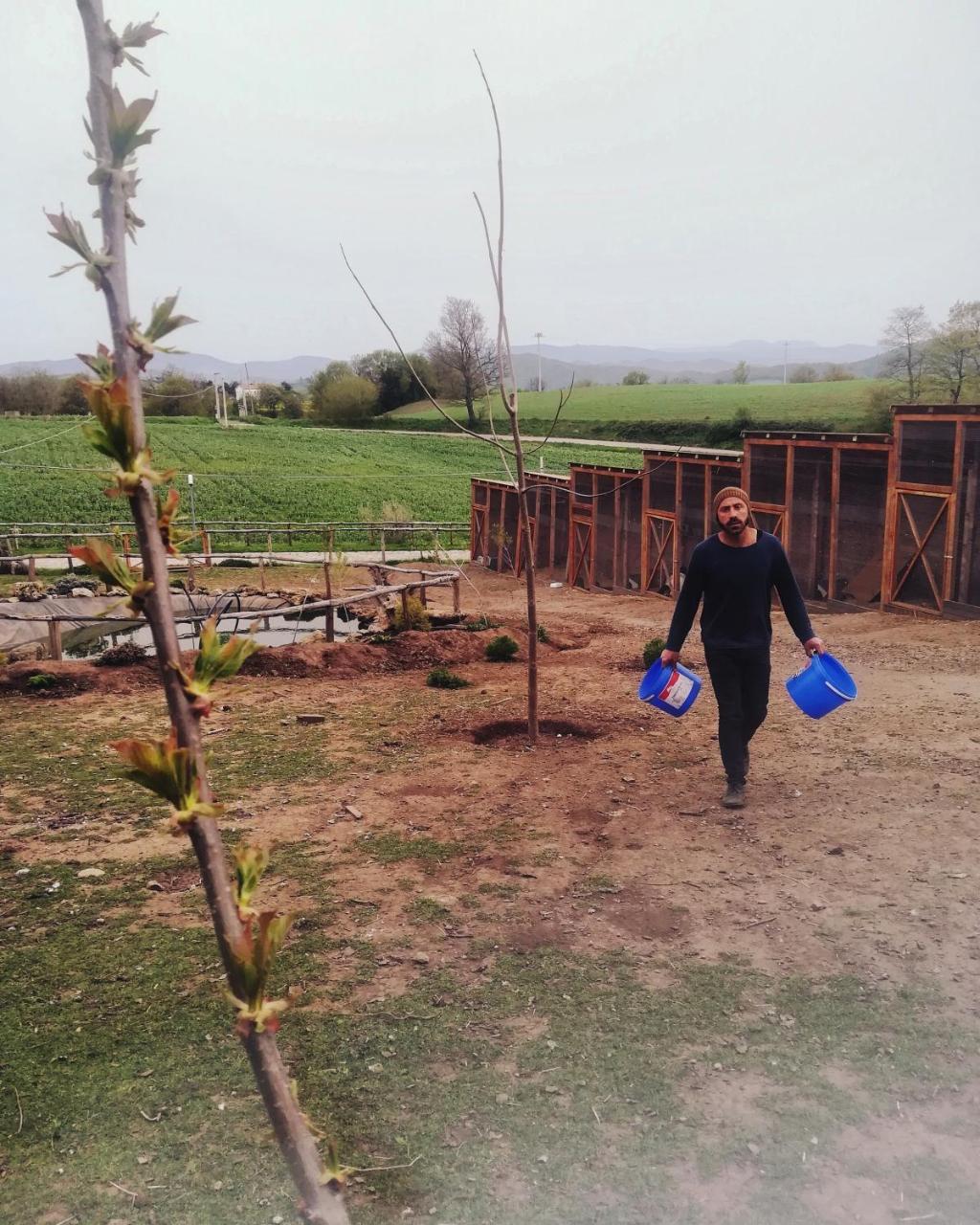 Agriturismo Il Riccio Monticchio  Exteriér fotografie